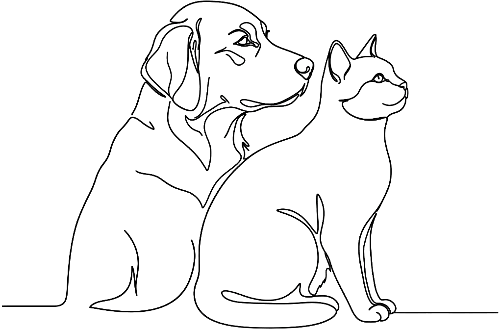 Illustration chien et chat