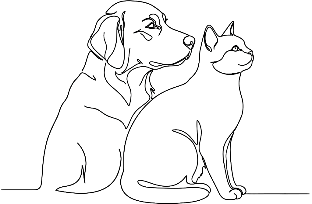 Illustration chien et chat