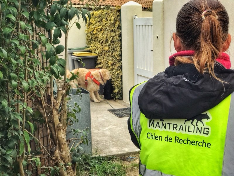 Christelle (Ami Doggy) : éducatrice canine bienveillante entre Nîmes et Montpellier