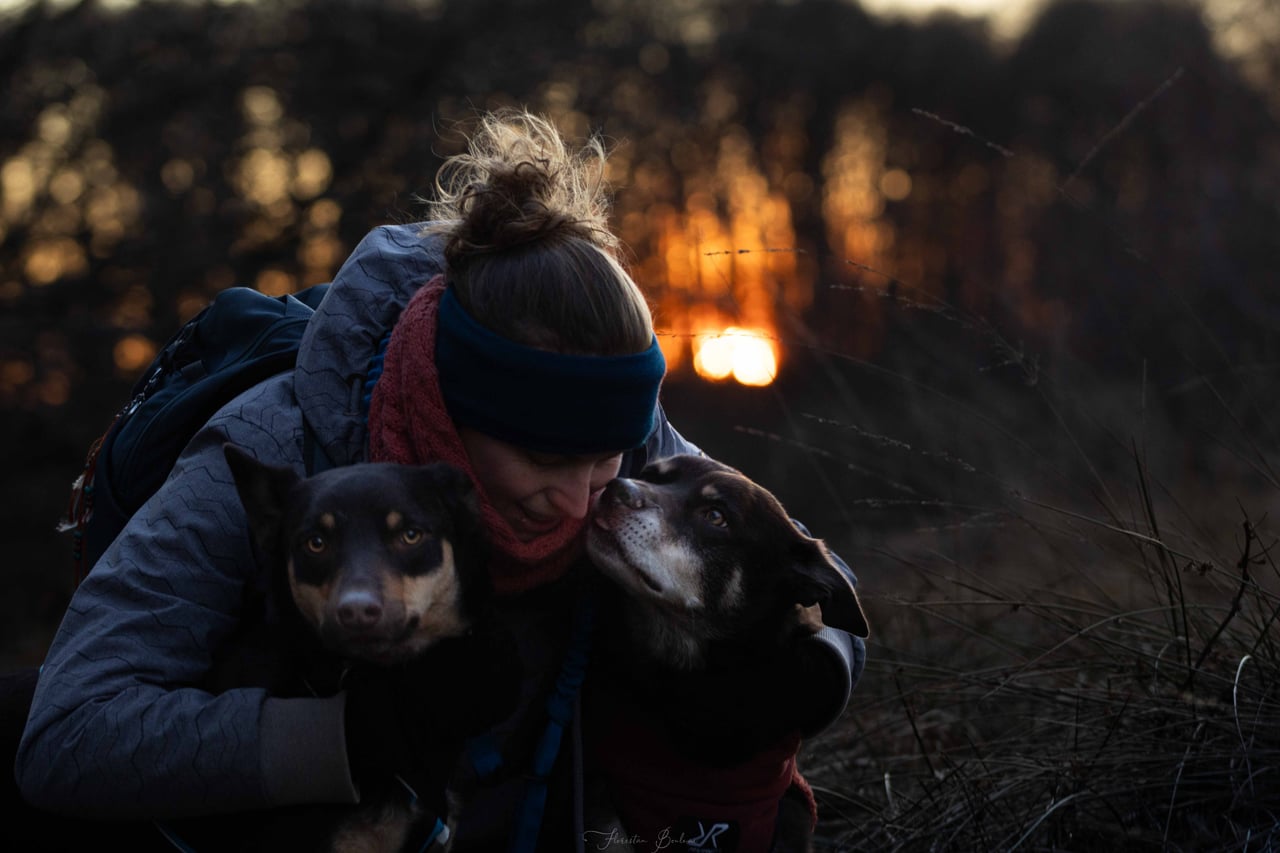 Label Truffe : la plateforme pour trouver un éducateur canin ou un professionnel animalier vérifié en France