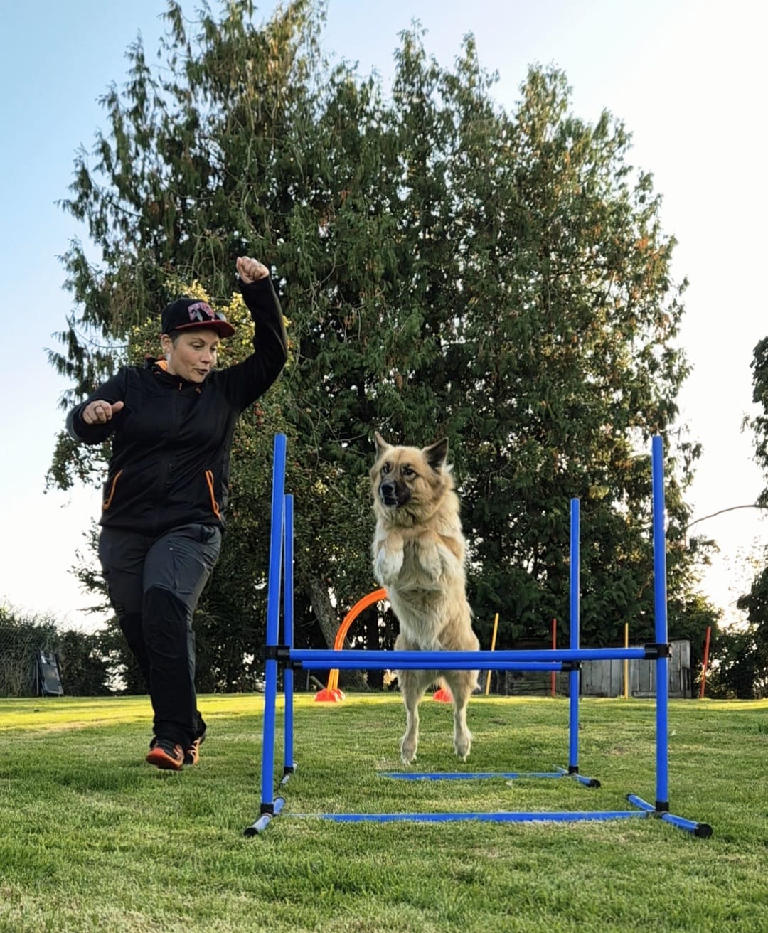 Audrey (La Colo de Moko) : éducatrice canine, comportementaliste et pension canine dans la Manche