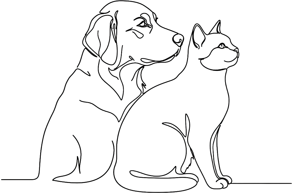 Illustration chien et chat